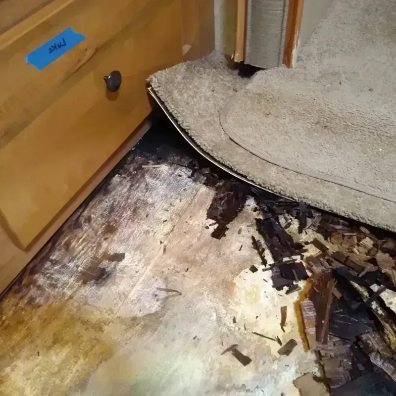 Wood Floor Water Damage in Calhoun County, IL